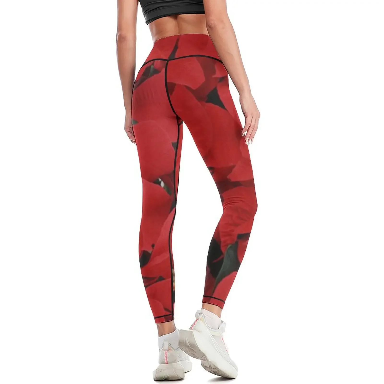 Poinsettias for Christmas, hol - Yoga Fitness Holiday 리뷰 및 가격