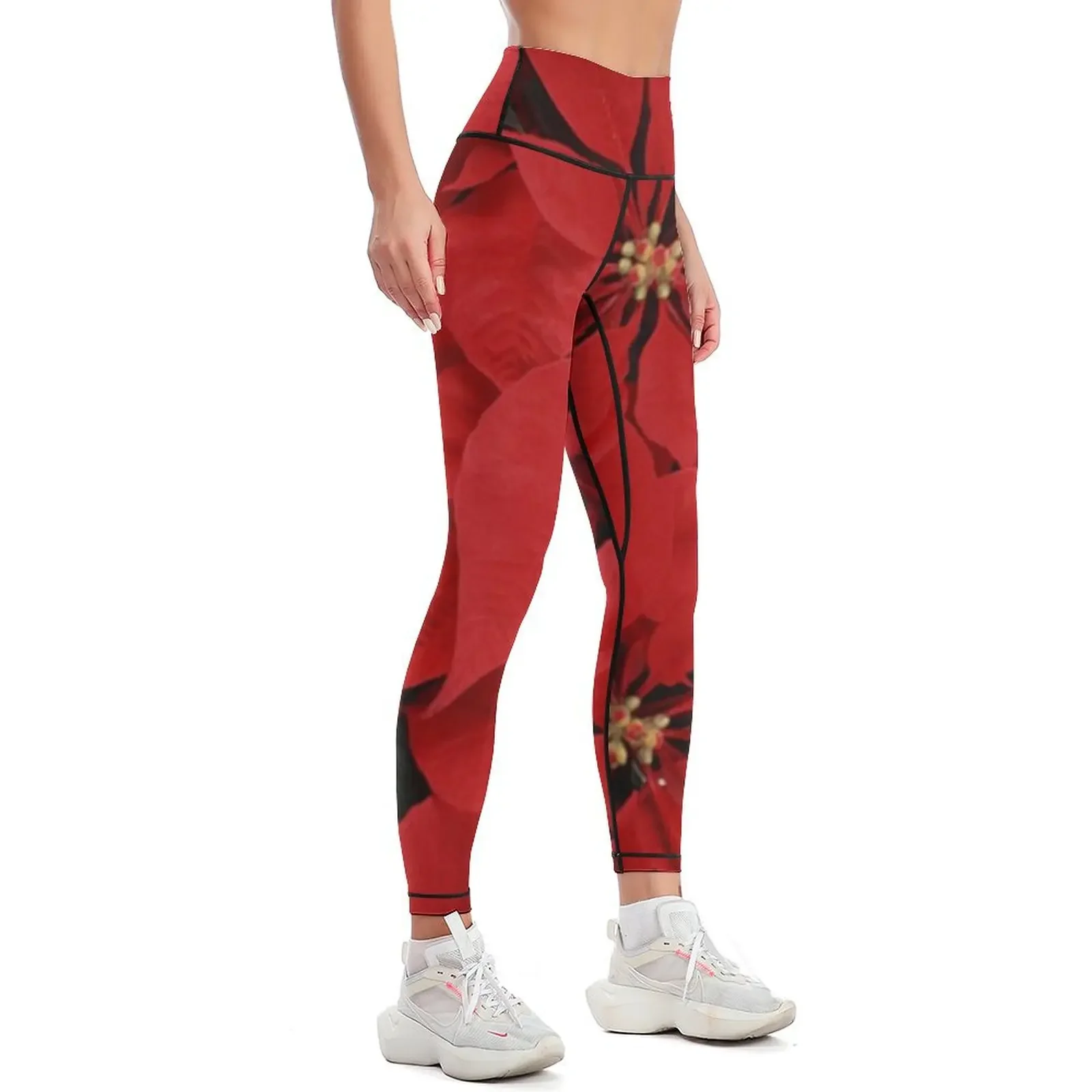Poinsettias for Christmas, hol - Yoga Fitness Holiday 리뷰 및 가격