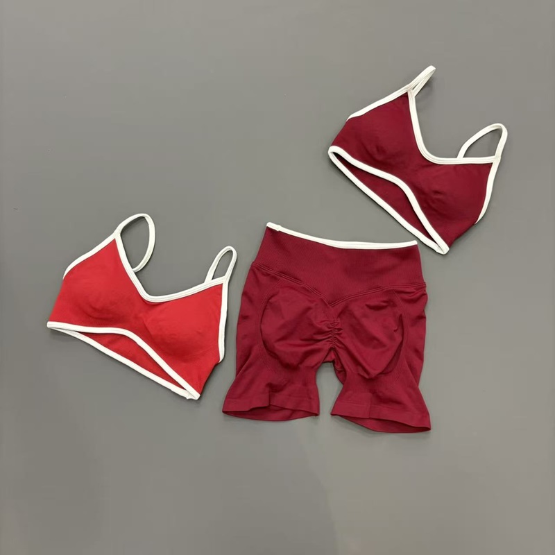 2 Pcs Gym Set Women High Elast - Ignite Yoga Fitness 리뷰 및 가격